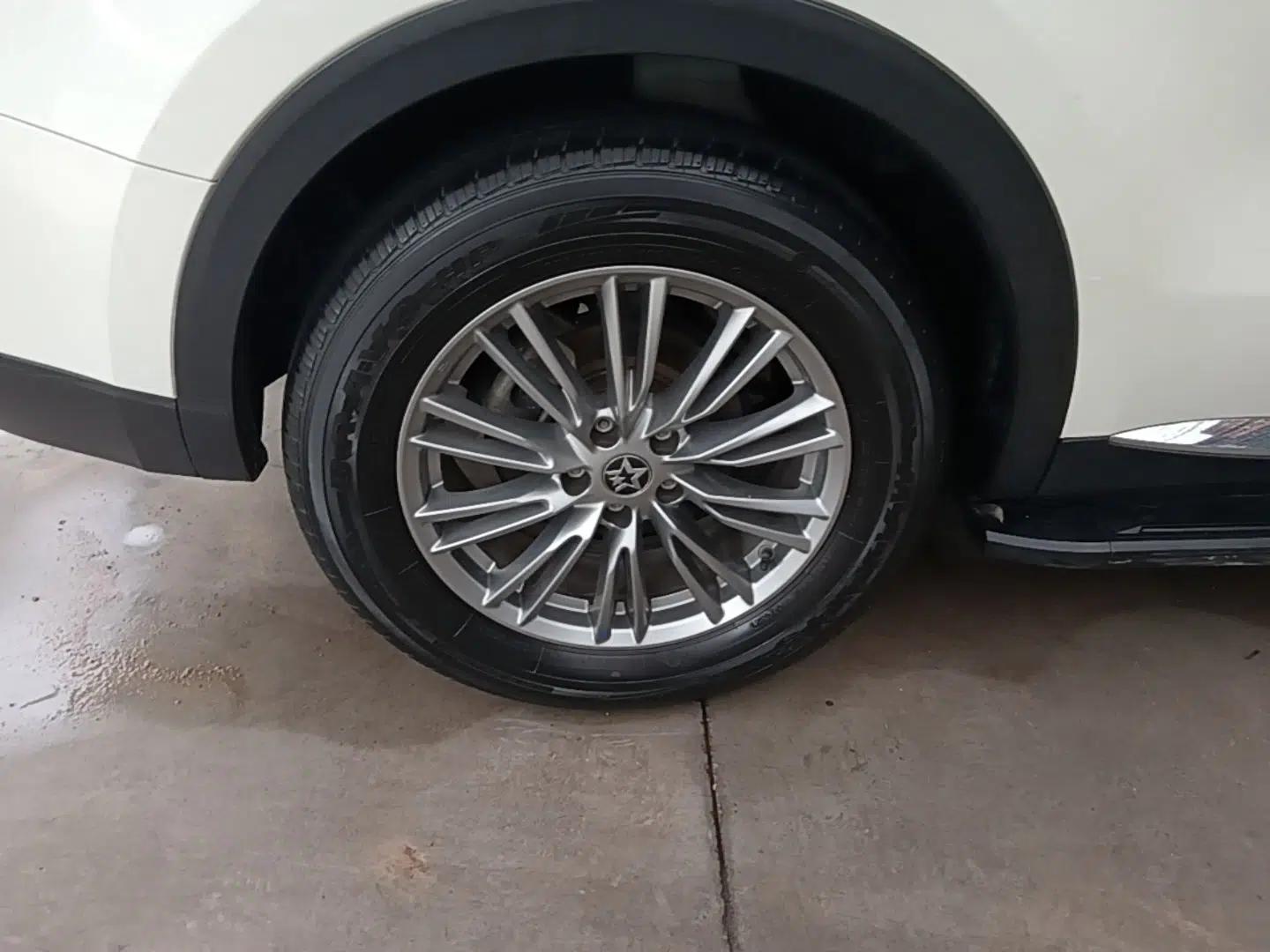 Venucia Star 2021 260T Automatic 48V Mild Hybrid Turbocharged Star Achieve Edition — миниатюра 11