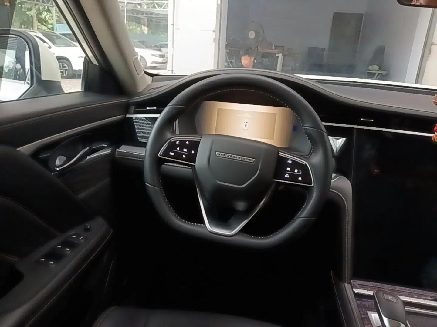 Venucia Star 2021 260T Automatic 48V Mild Hybrid Turbocharged Star Achieve Edition — миниатюра 13