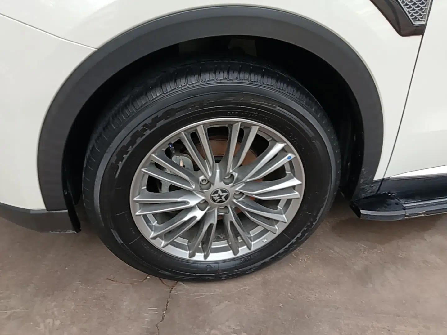 Venucia Star 2021 260T Automatic 48V Mild Hybrid Turbocharged Star Achieve Edition — миниатюра 10