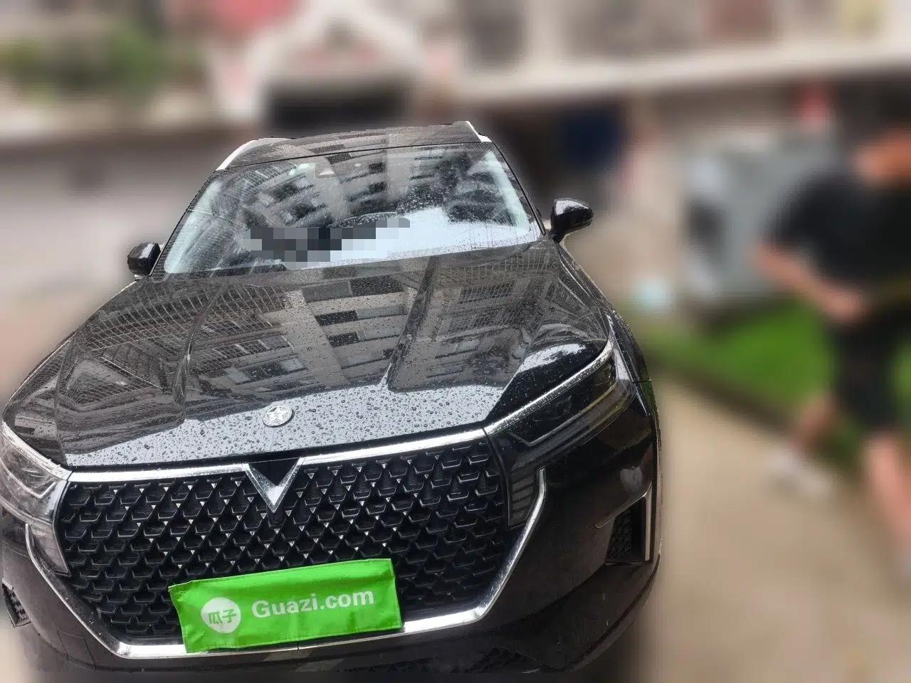 Venucia Star 2020 260T Automatic 48V Mild Hybrid Turbocharged Starry Edition — миниатюра 2