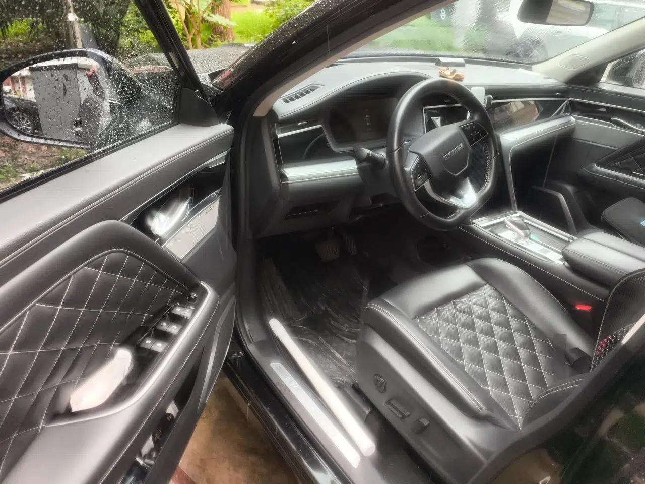 Venucia Star 2020 260T Automatic 48V Mild Hybrid Turbocharged Starry Edition — миниатюра 16