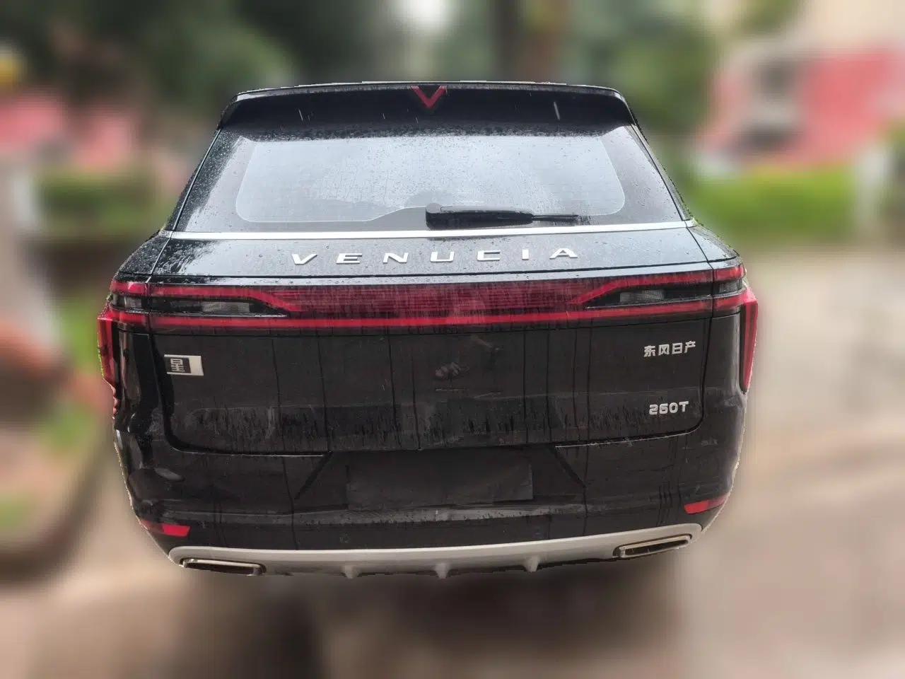 Venucia Star 2020 260T Automatic 48V Mild Hybrid Turbocharged Starry Edition — миниатюра 5