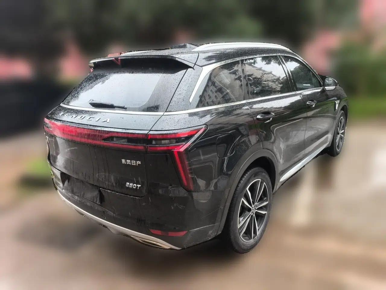 Venucia Star 2020 260T Automatic 48V Mild Hybrid Turbocharged Starry Edition — миниатюра 6