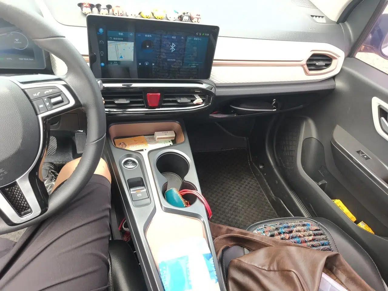 SOL E10X 2021 302 km Range Luxury Version 31.4 kWh — миниатюра 12