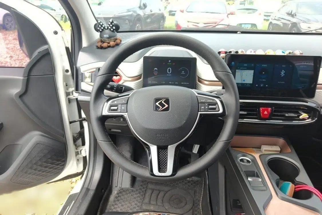 SOL E10X 2021 302 km Range Luxury Version 31.4 kWh — миниатюра 17