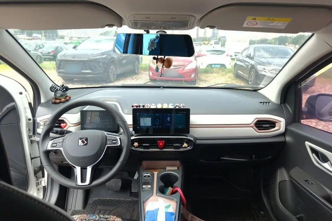 SOL E10X 2021 302 km Range Luxury Version 31.4 kWh — миниатюра 18