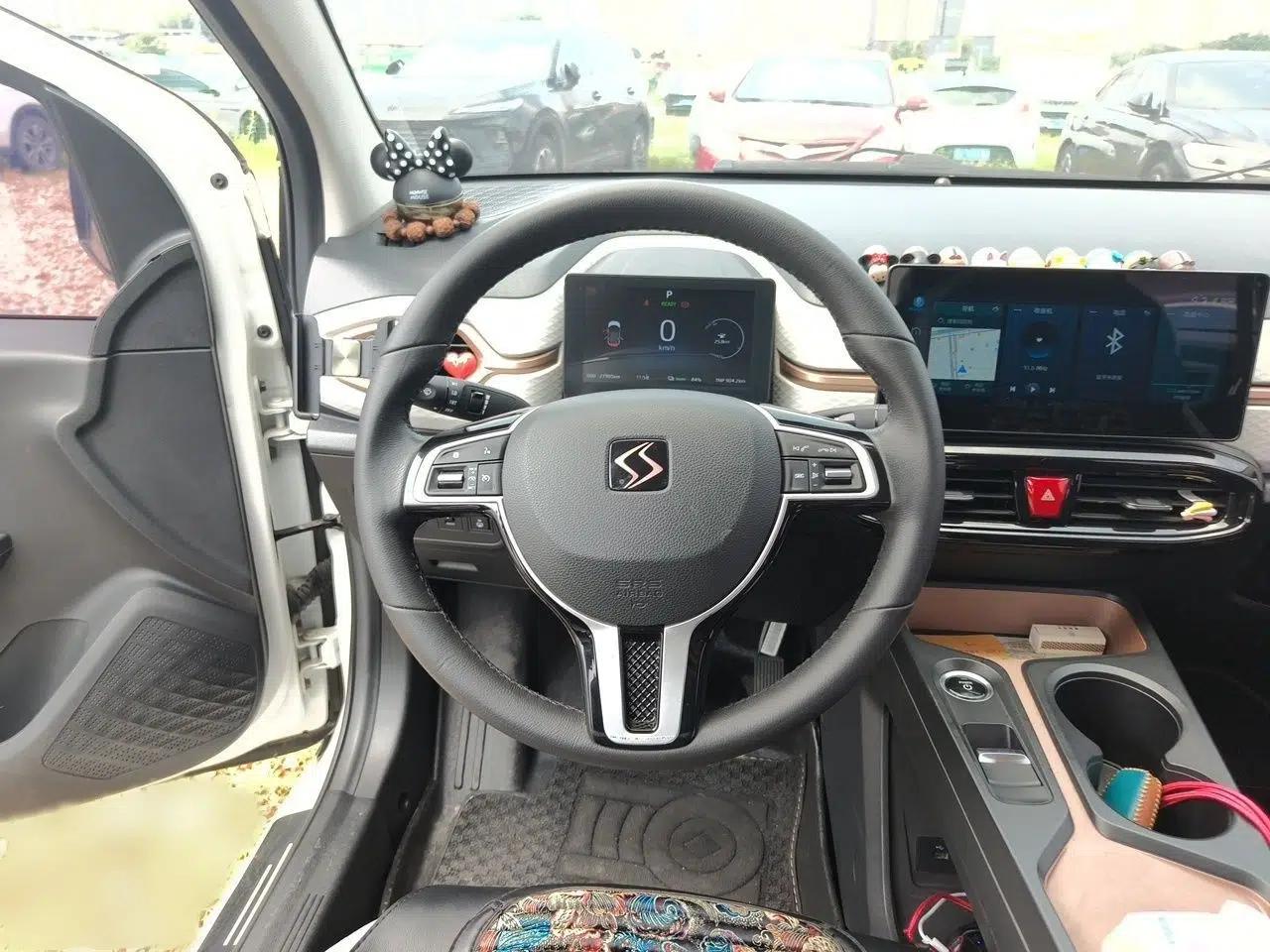 SOL E10X 2021 302 km Range Luxury Version 31.4 kWh — миниатюра 9