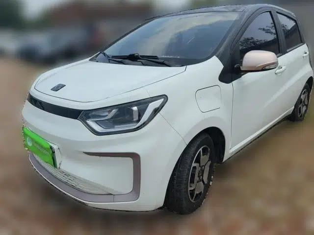 SOL E10X 2021 302 km Range Luxury Version 31.4 kWh