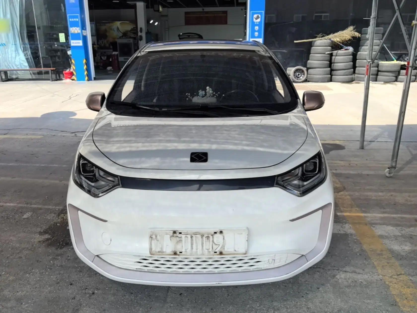 SOL E10X 2021 302 km Range Luxury Version 31.4 kWh — миниатюра 2