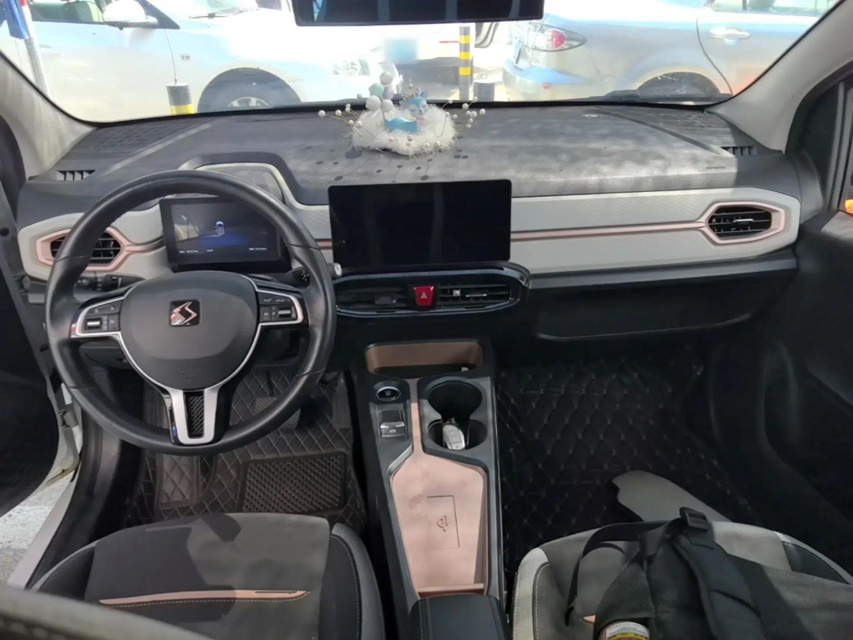 SOL E10X 2021 302 km Range Luxury Version 31.4 kWh — миниатюра 17