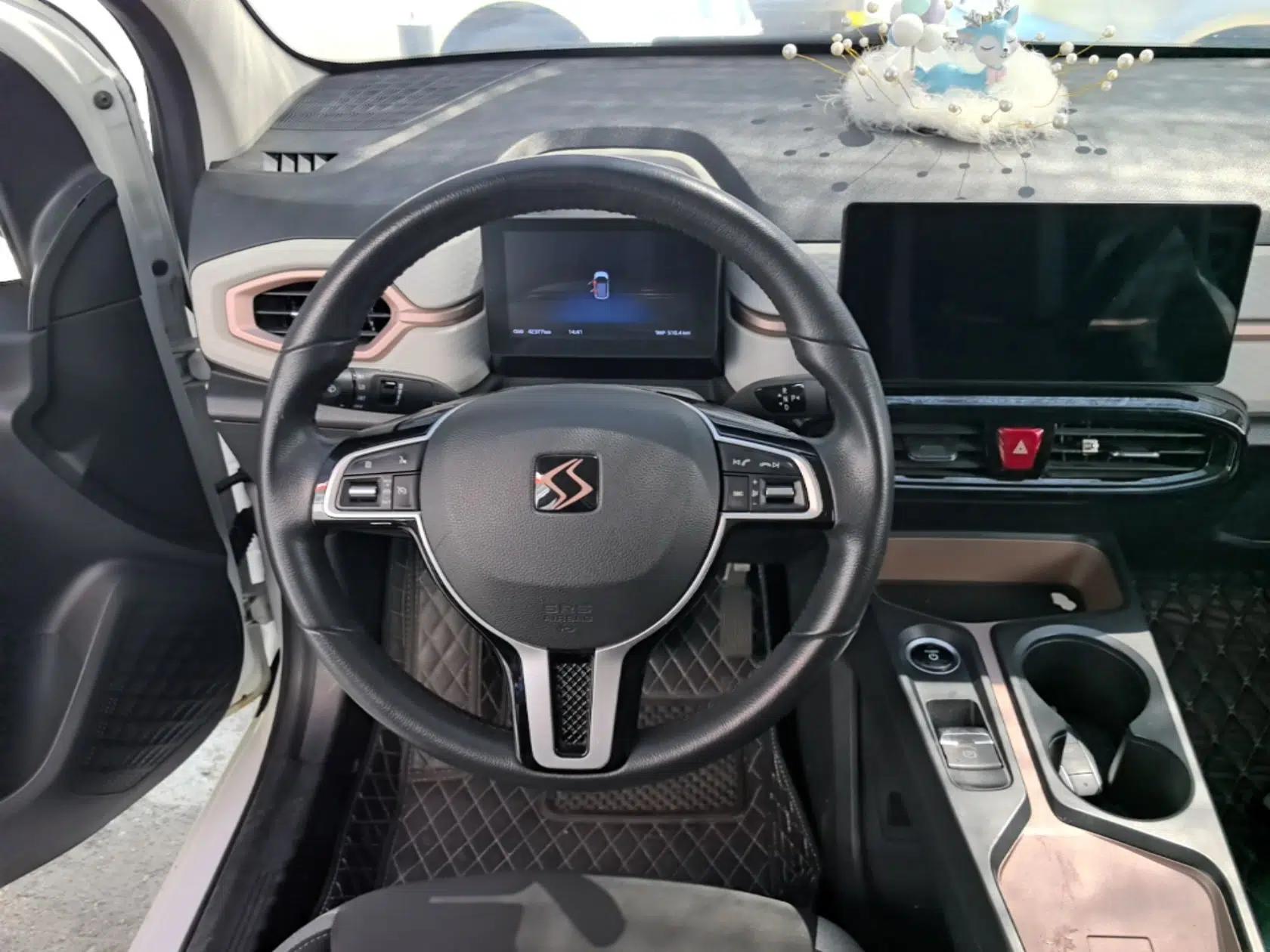 SOL E10X 2021 302 km Range Luxury Version 31.4 kWh — миниатюра 18