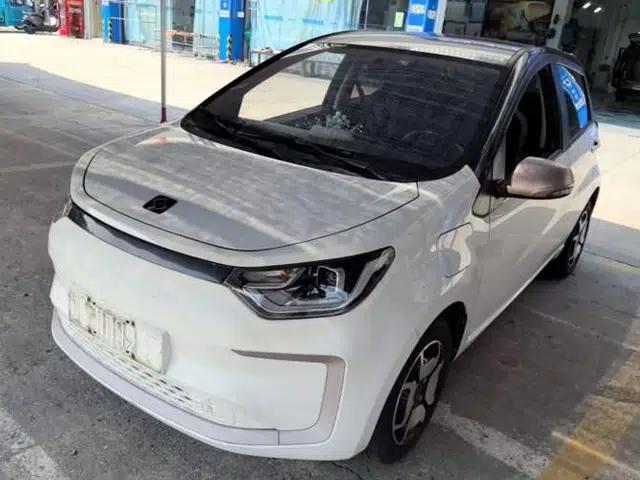 SOL E10X 2021 302 km Range Luxury Version 31.4 kWh