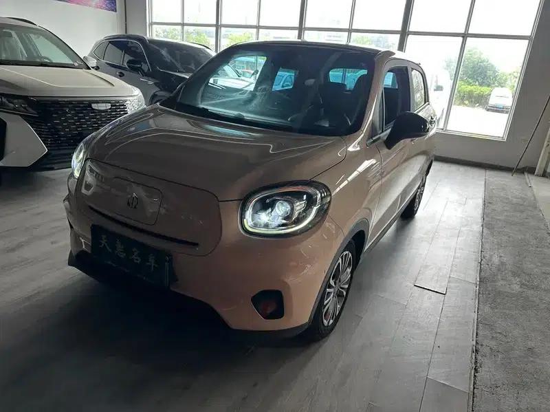 Leapmotor T03 2021 400 Luxury Pro Edition — миниатюра 1