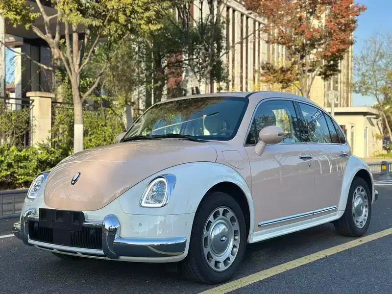 Euler Ballet Cat 2023 Model 401km Premium Edition — миниатюра 1