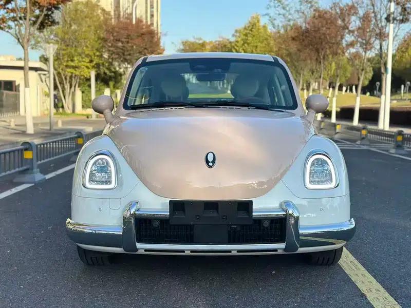 Euler Ballet Cat 2023 Model 401km Premium Edition — миниатюра 2