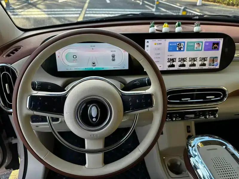 Euler Ballet Cat 2023 Model 401km Premium Edition — миниатюра 11