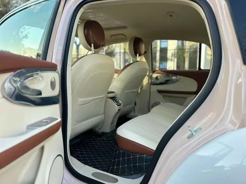 Euler Ballet Cat 2023 Model 401km Premium Edition — миниатюра 13