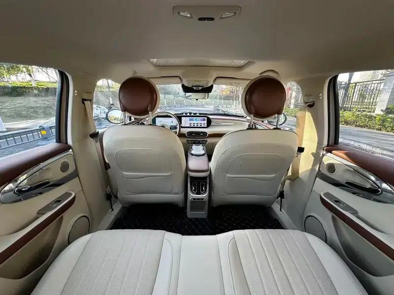Euler Ballet Cat 2023 Model 401km Premium Edition — миниатюра 14
