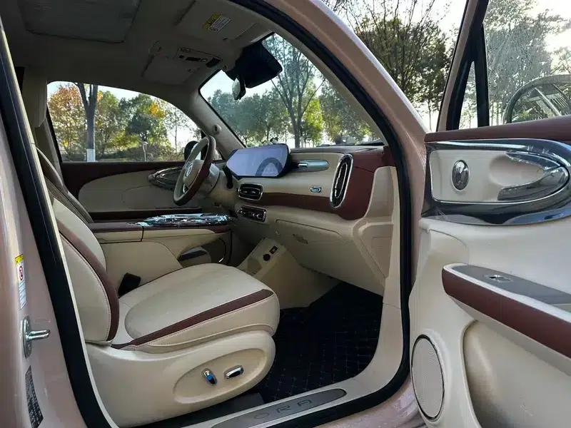 Euler Ballet Cat 2023 Model 401km Premium Edition — миниатюра 16
