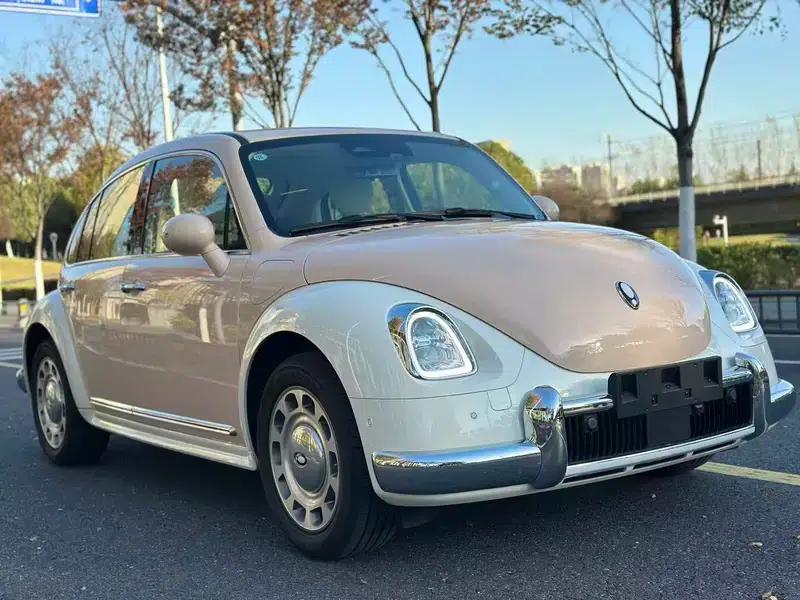 Euler Ballet Cat 2023 Model 401km Premium Edition — миниатюра 3