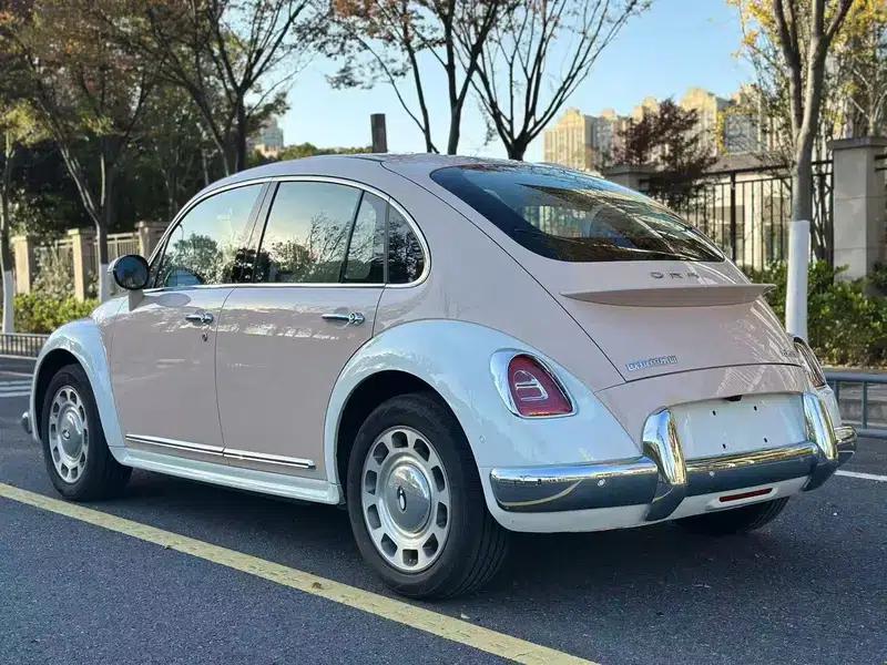 Euler Ballet Cat 2023 Model 401km Premium Edition — миниатюра 5