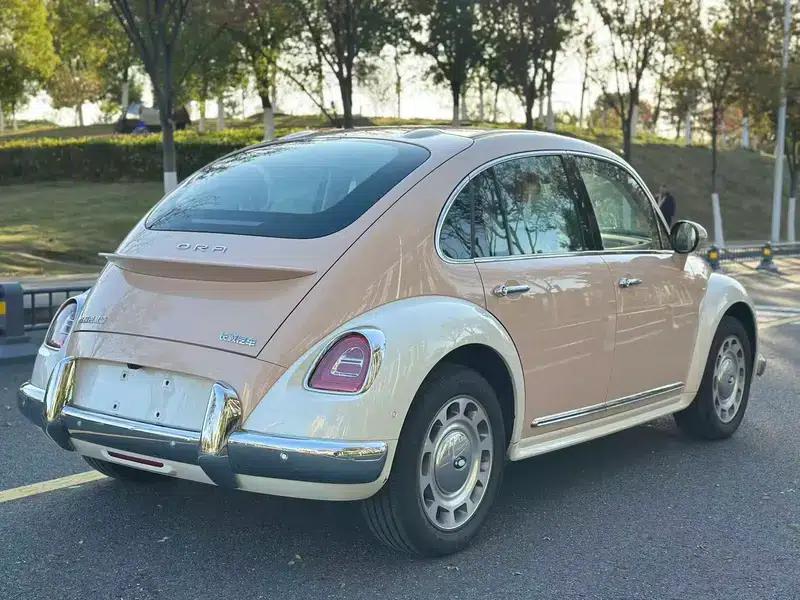 Euler Ballet Cat 2023 Model 401km Premium Edition — миниатюра 7
