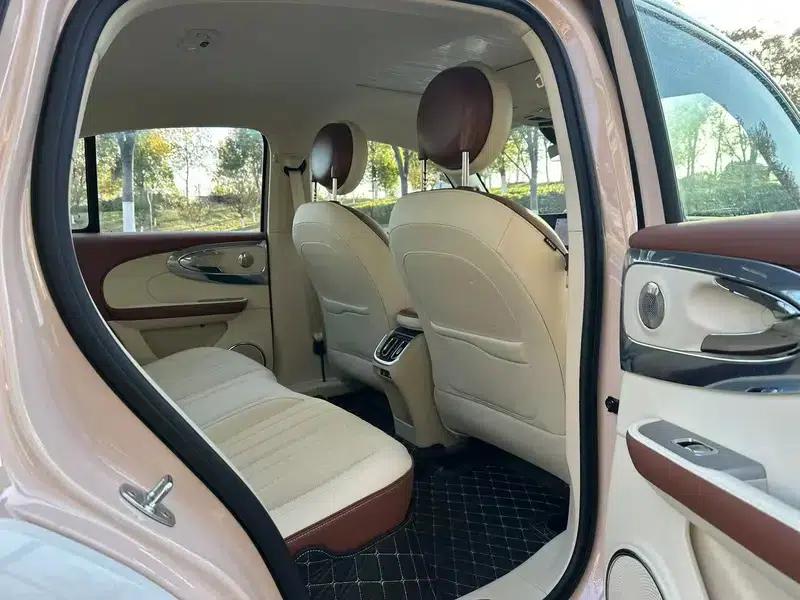 Euler Ballet Cat 2023 Model 401km Premium Edition — миниатюра 8