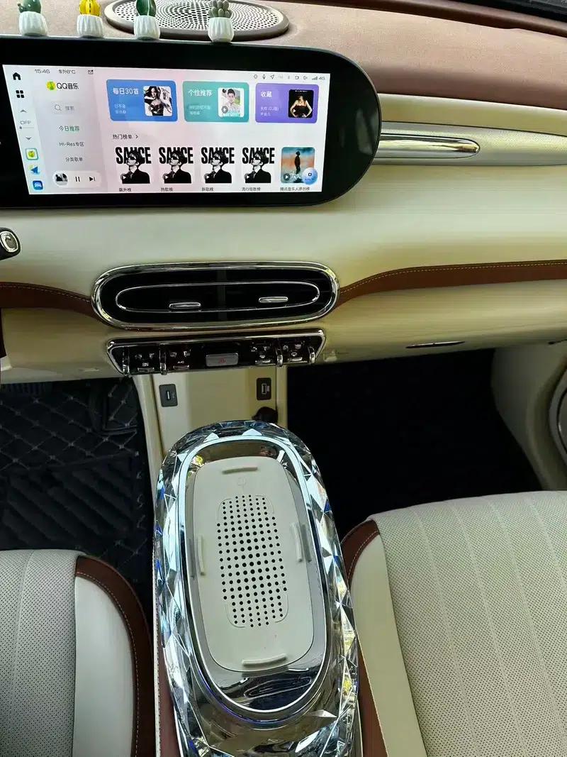 Euler Ballet Cat 2023 Model 401km Premium Edition — миниатюра 9