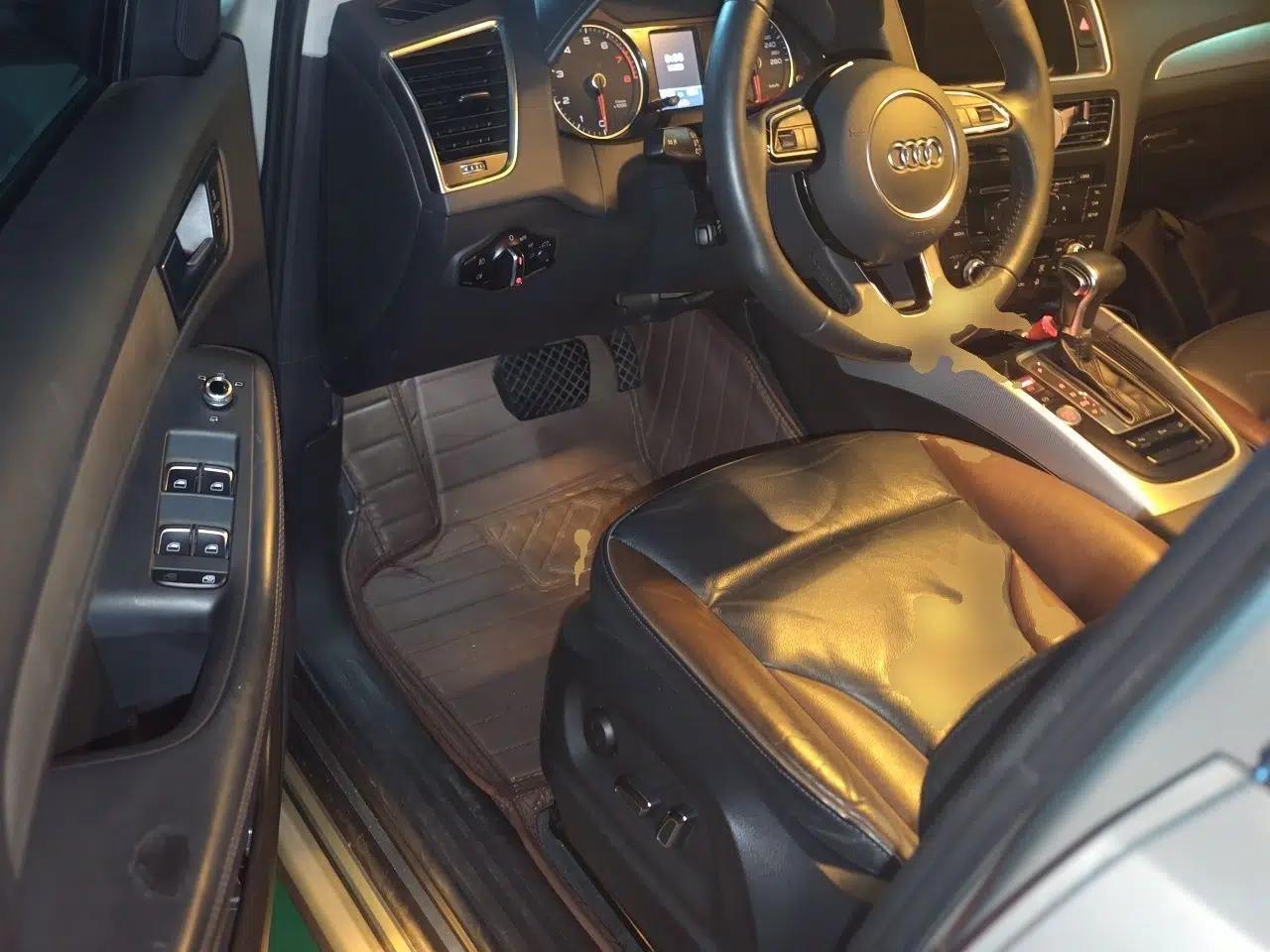 Audi Q5 2018 Collector's Edition 40 TFSI Technology Model — миниатюра 16