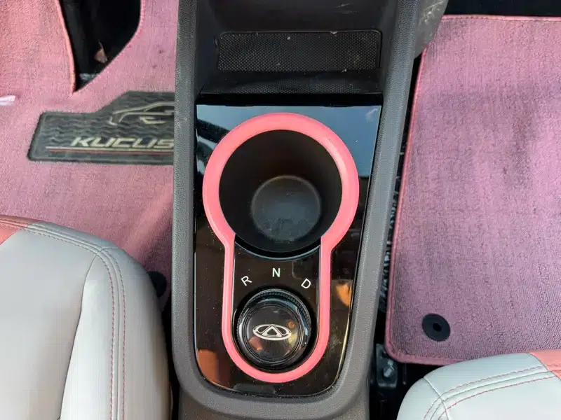 Little Ant 2022 Model, Sweet Pink Version, Lithium Iron Phosphate, 30.7kWh, 30kW, 301km/h — миниатюра 17