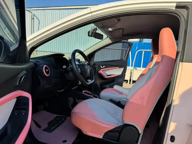 Little Ant 2022 Model, Sweet Pink Version, Lithium Iron Phosphate, 30.7kWh, 30kW, 301km/h — миниатюра 18