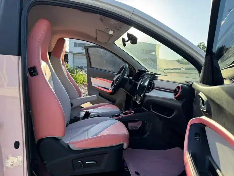 Little Ant 2022 Model, Sweet Pink Version, Lithium Iron Phosphate, 30.7kWh, 30kW, 301km/h — миниатюра 19