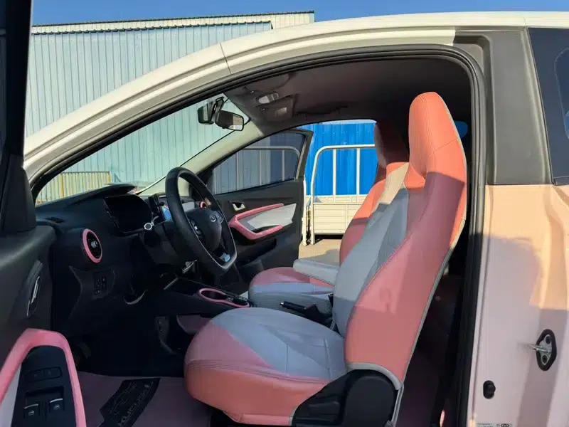 Little Ant 2022 Model, Sweet Pink Version, Lithium Iron Phosphate, 30.7kWh, 30kW, 301km/h — миниатюра 24