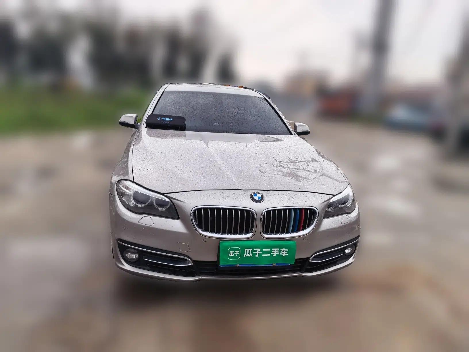 BMW 5 Series 2013 525Li Luxury Model — миниатюра 2