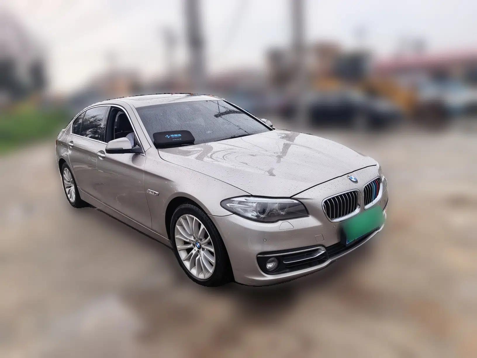 BMW 5 Series 2013 525Li Luxury Model — миниатюра 3