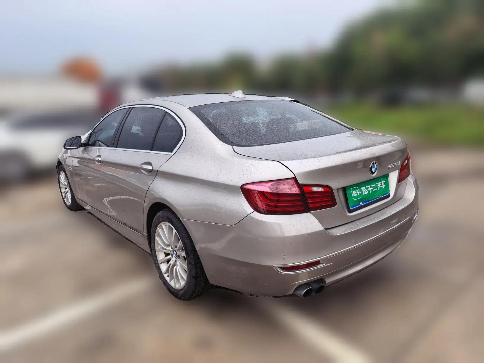 BMW 5 Series 2013 525Li Luxury Model — миниатюра 4