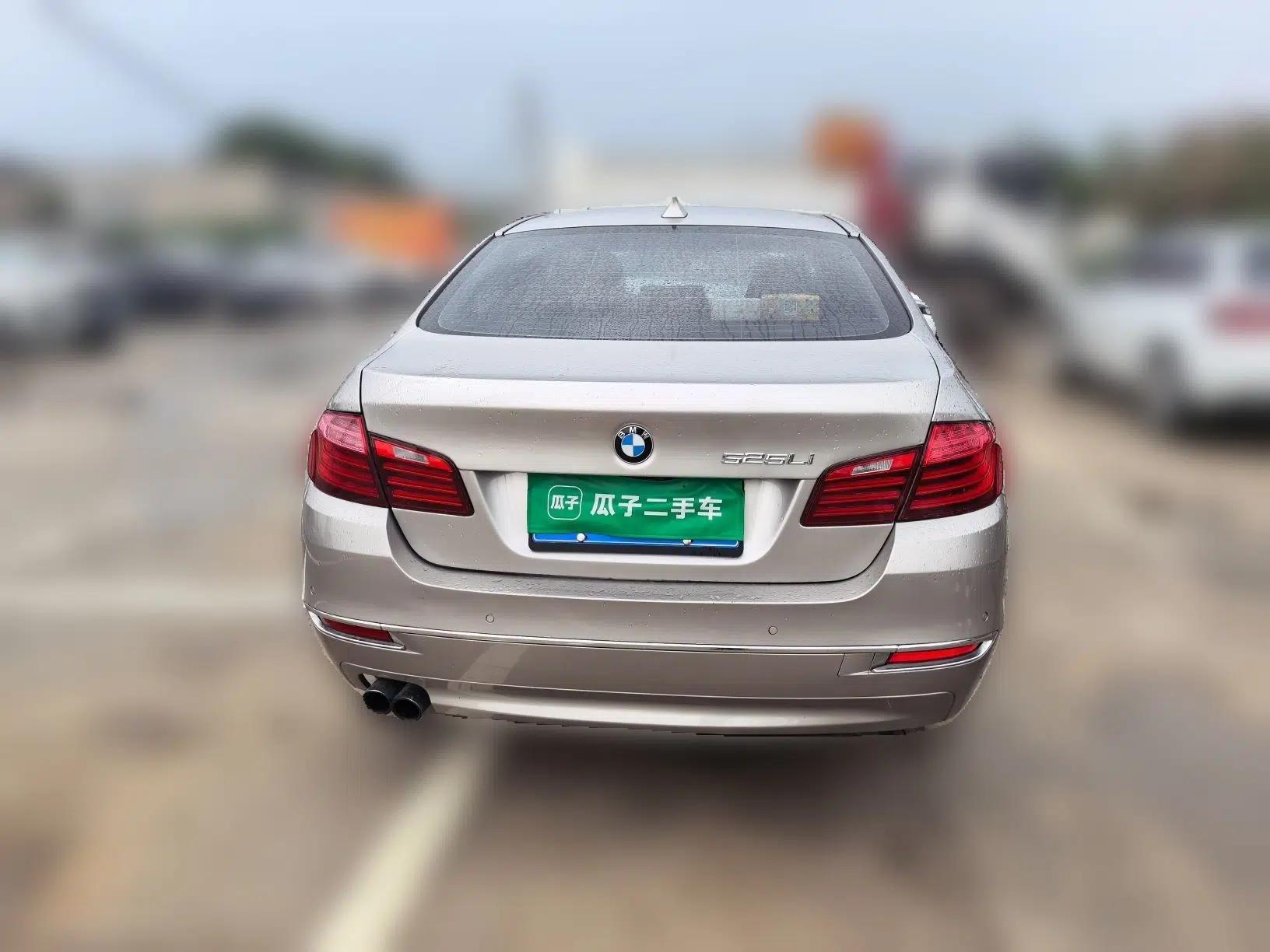 BMW 5 Series 2013 525Li Luxury Model — миниатюра 5