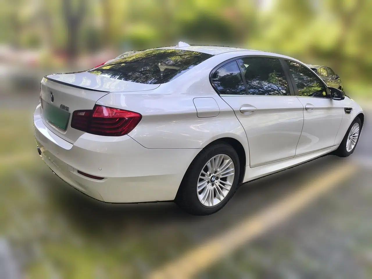 BMW 5 Series 2014 520Li Elegant Model — миниатюра 6