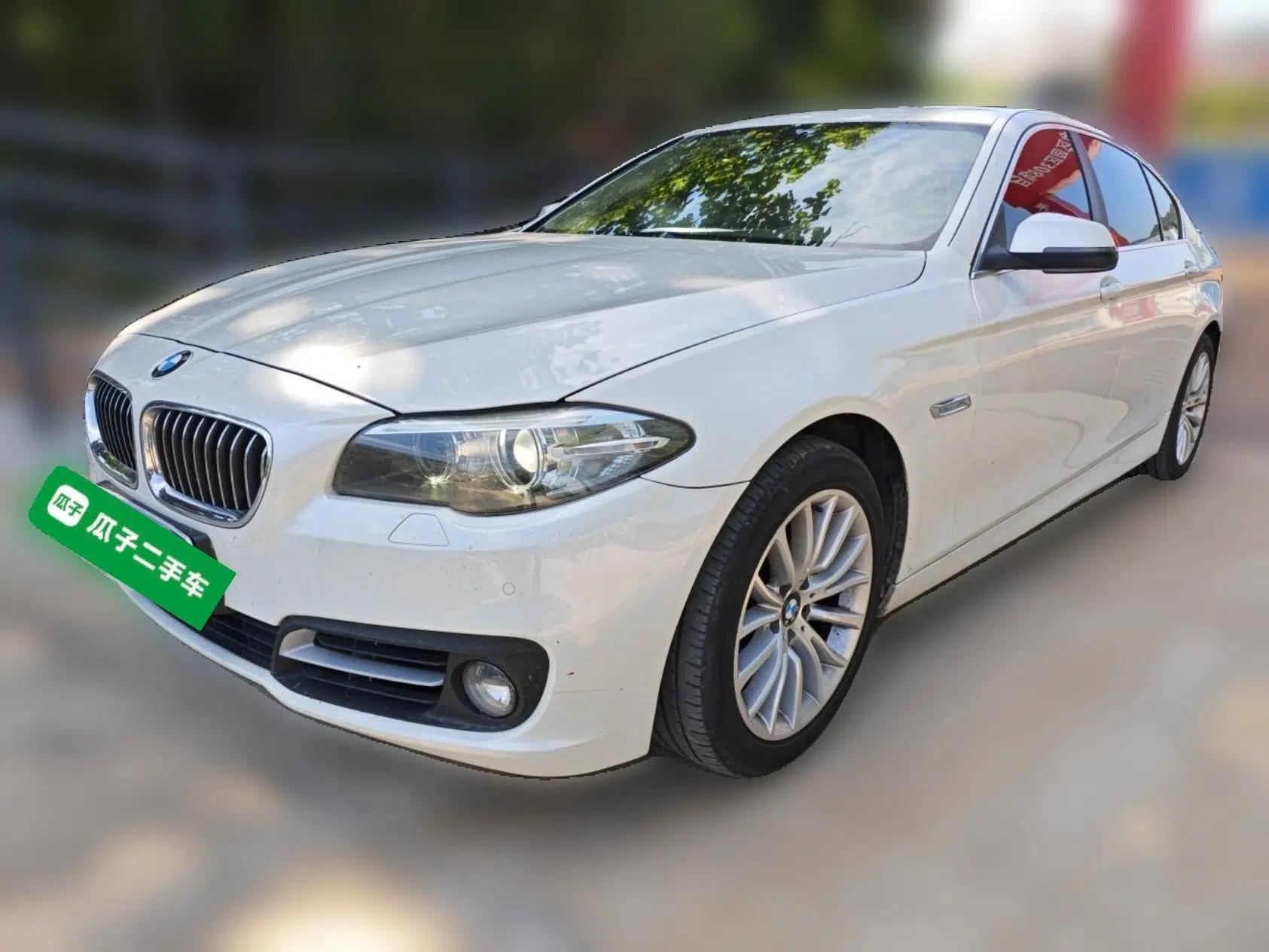 BMW 5 Series 2014 520Li Elegant Model — миниатюра 1