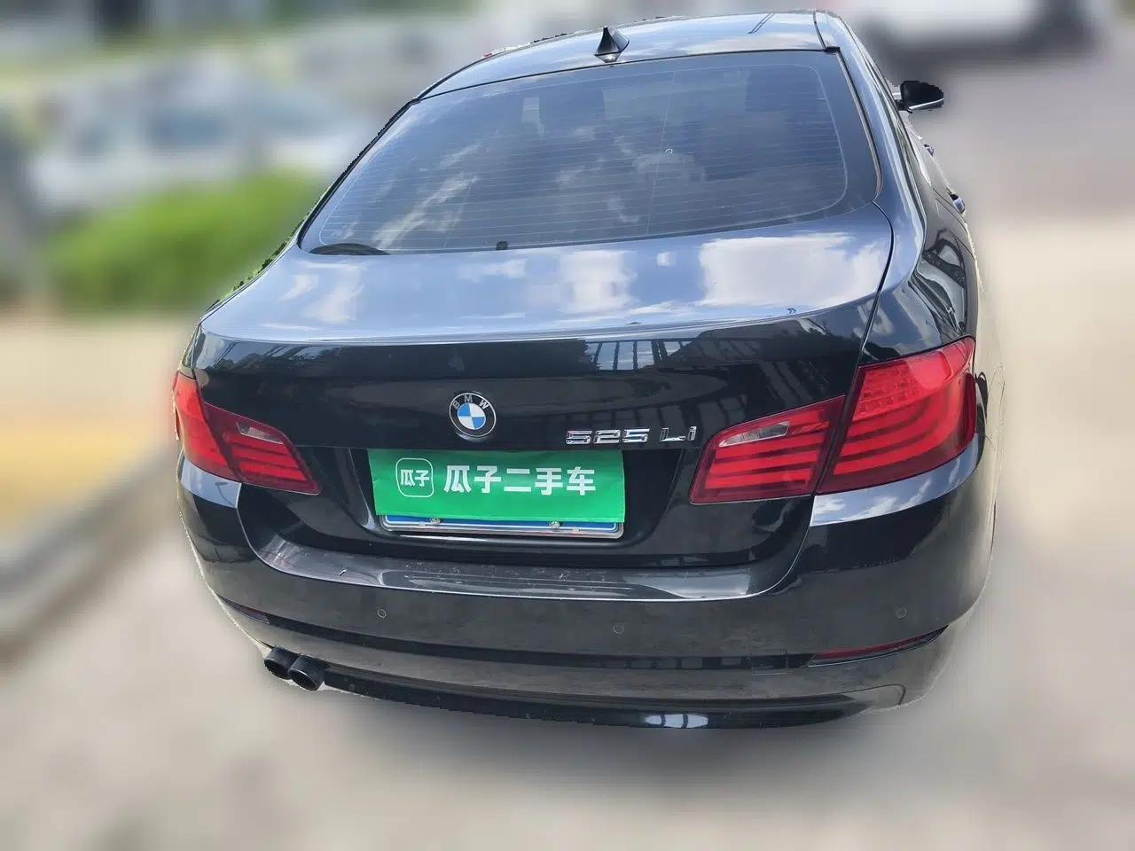 BMW 5 Series 2013 525Li Luxury Model — миниатюра 5