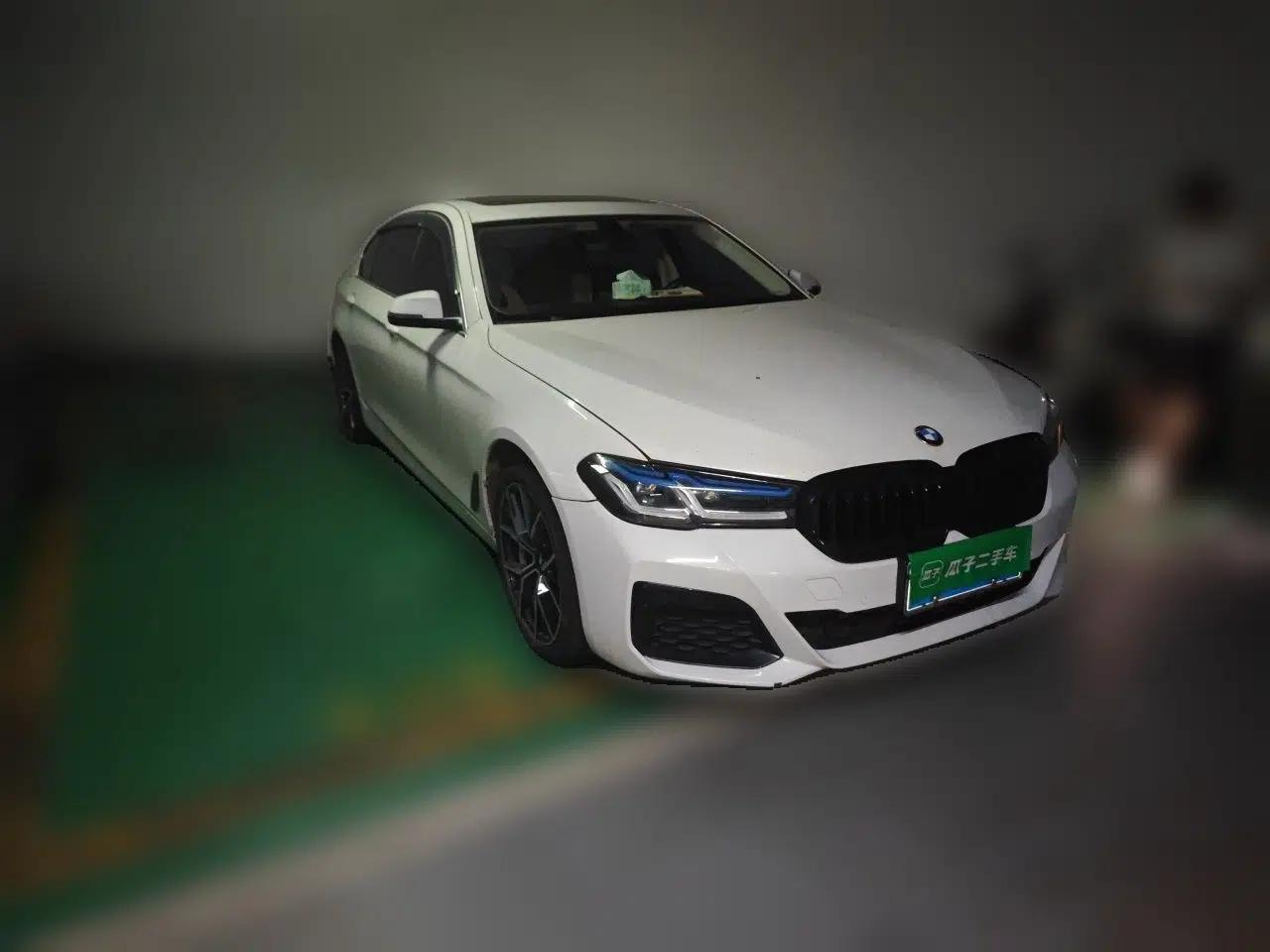 BMW 5 Series 2014 525Li Leading Model — миниатюра 3