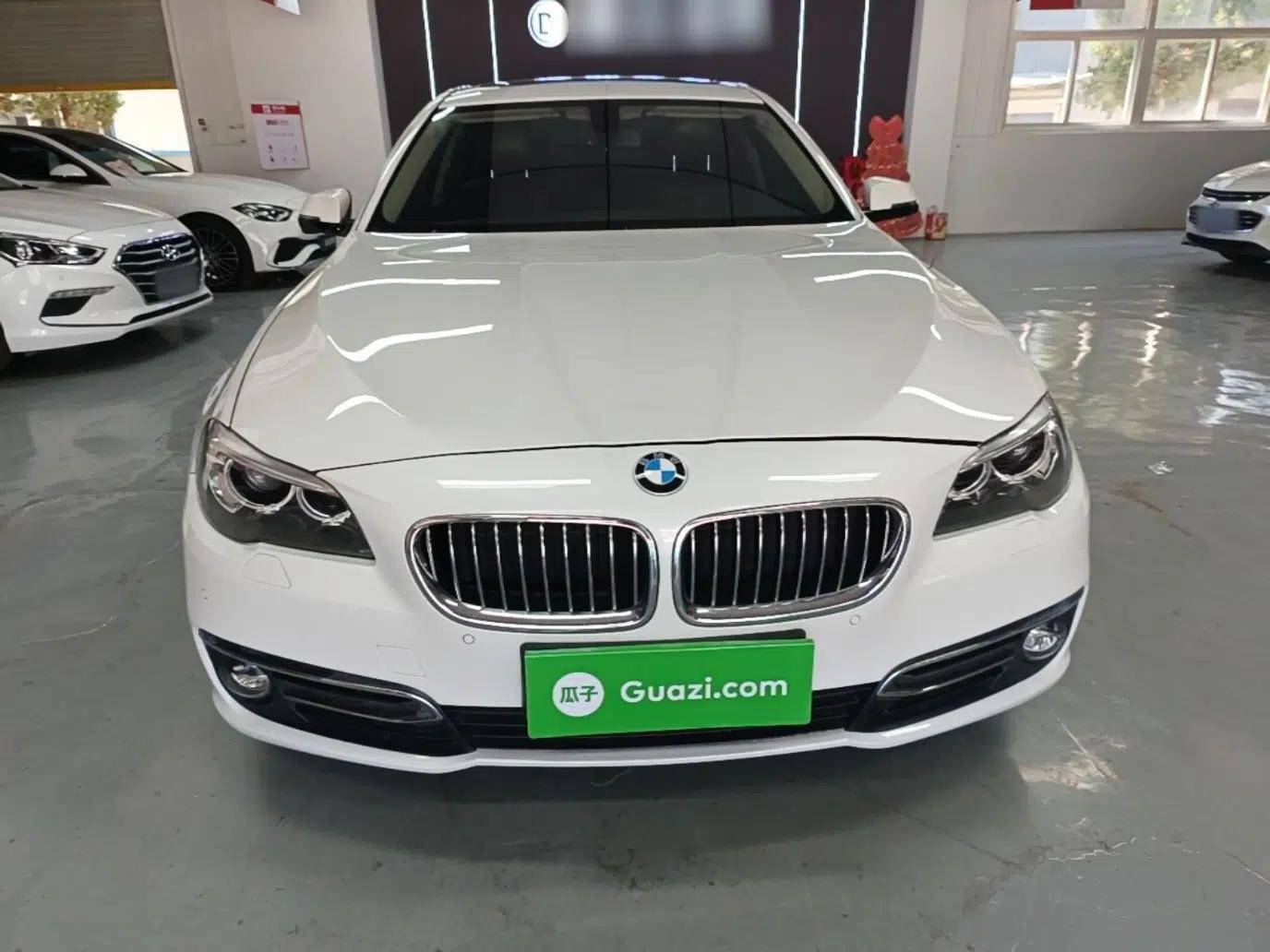 BMW 5 Series 2017 525Li Luxury Design Package — миниатюра 2