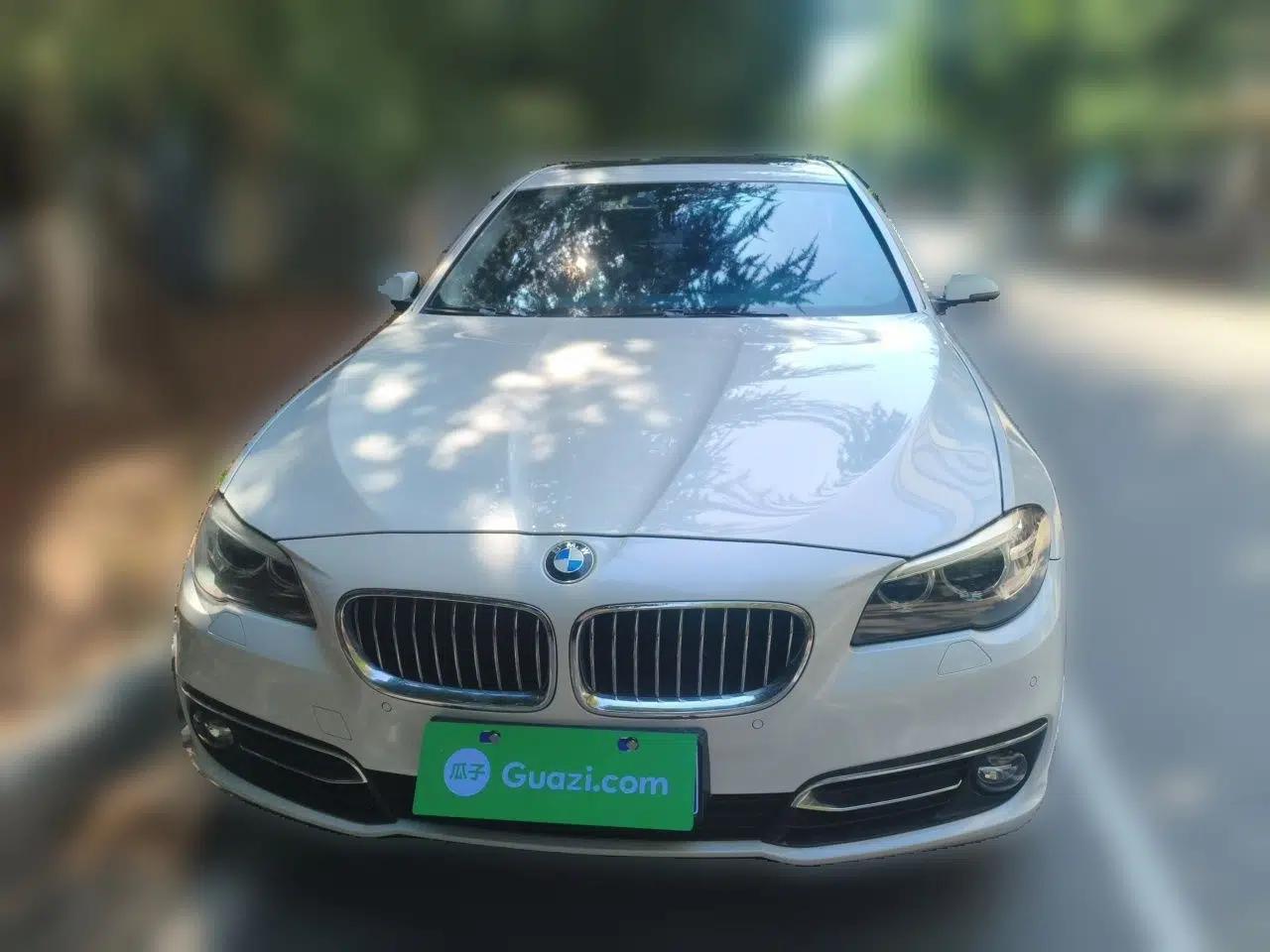 BMW 5 Series 2014 525Li Luxury Design Package — миниатюра 2
