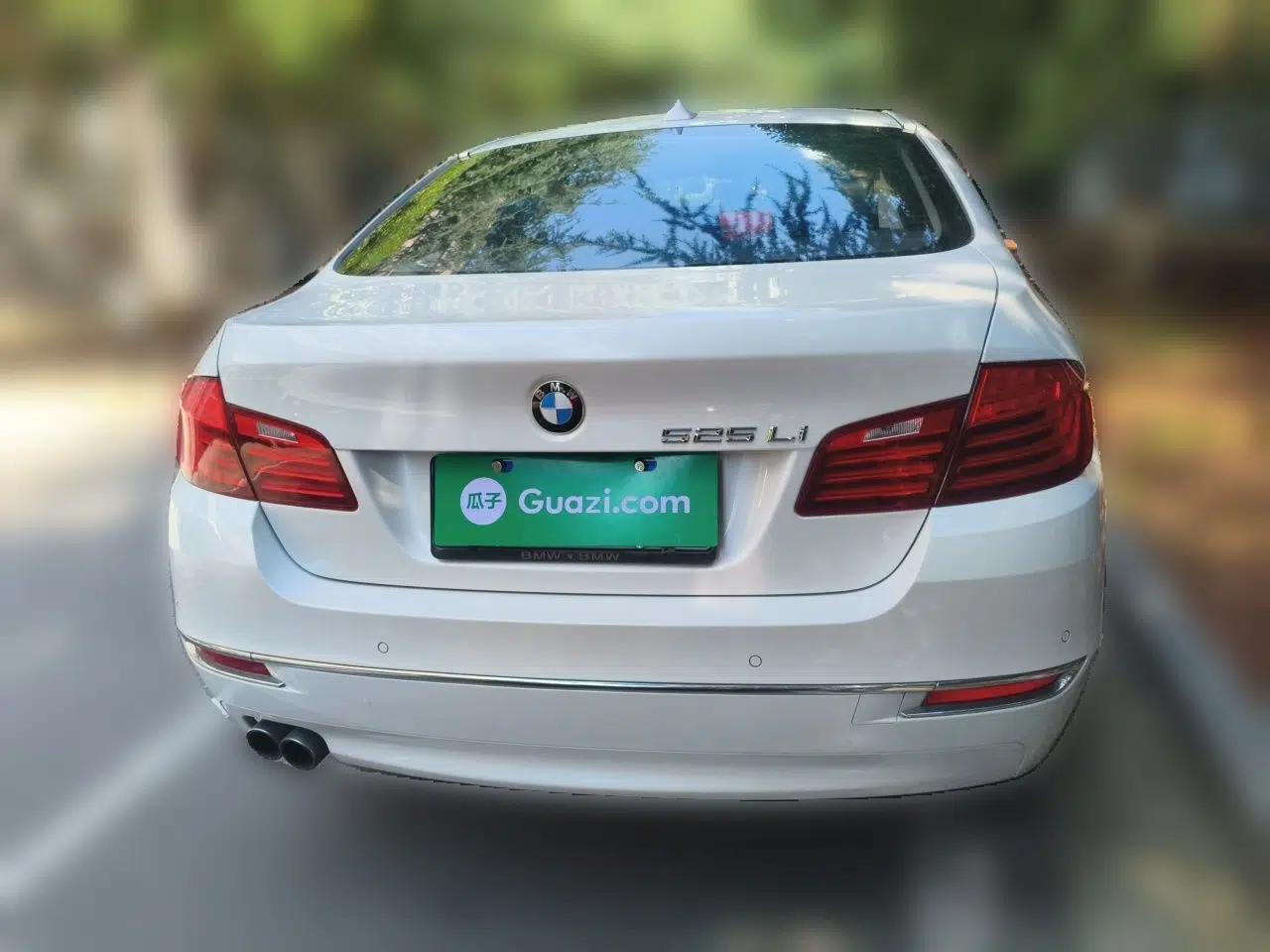 BMW 5 Series 2014 525Li Luxury Design Package — миниатюра 5