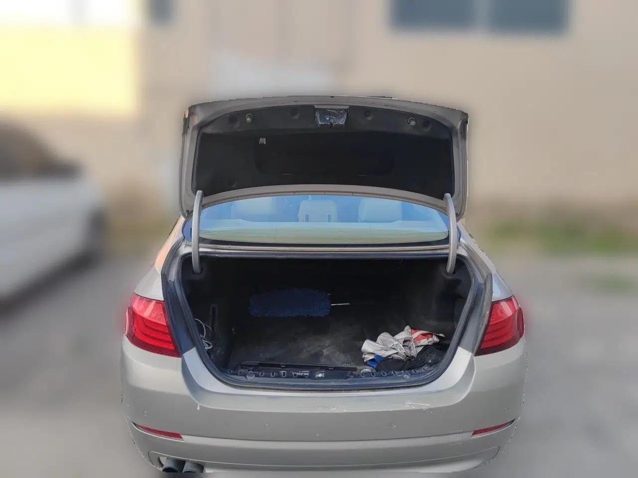 BMW 5 Series 2010 520Li Leading Model — миниатюра 19