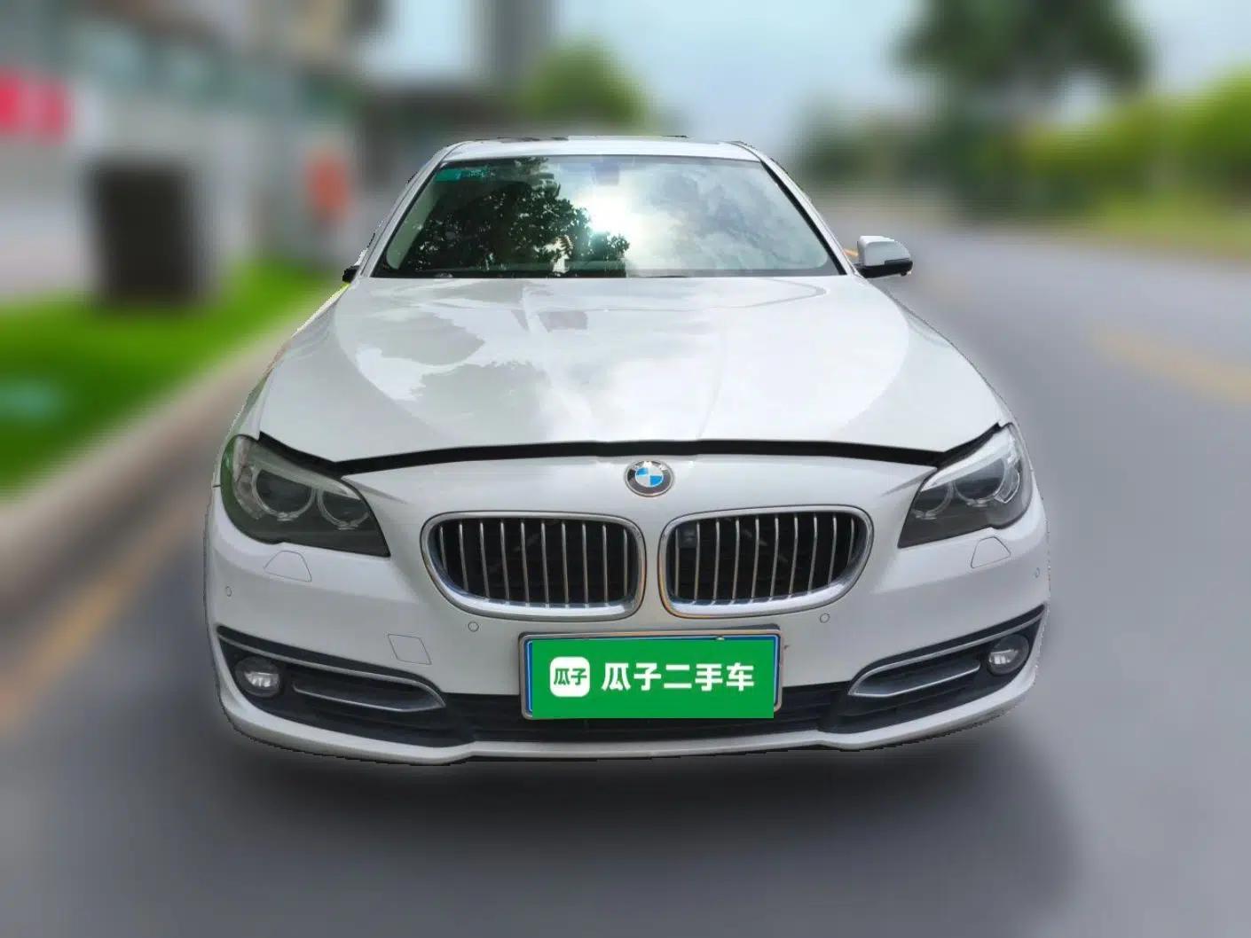 BMW 5 Series 2017 525Li Luxury Design Package — миниатюра 2