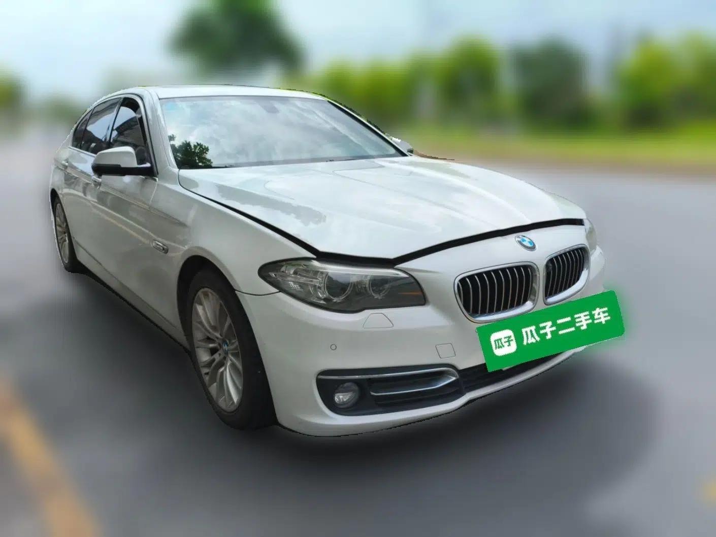 BMW 5 Series 2017 525Li Luxury Design Package — миниатюра 3