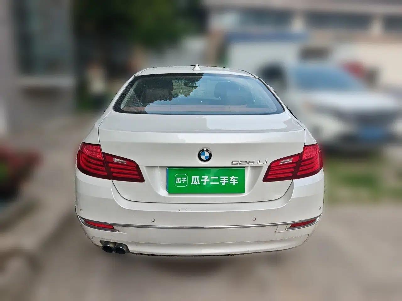 BMW 5 Series 2014 525Li Luxury Design Package — миниатюра 5