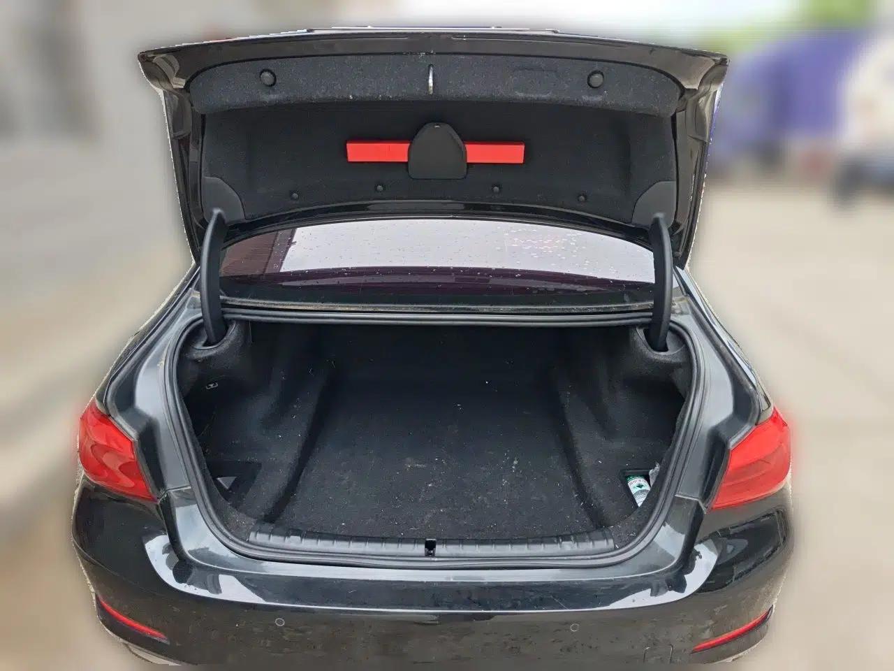 BMW 5 Series 2018 525Li Luxury Package — миниатюра 19