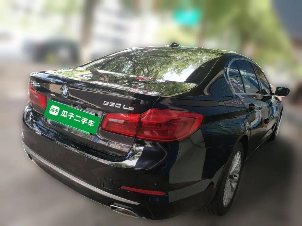 BMW 5 Series New Energy 2020 Mileage Upgrade Version 530Le Luxury Package — миниатюра 6